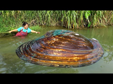 Eight pounds of river clams pulled out three pounds of