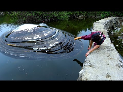 The river clams are old and black while the pearls are