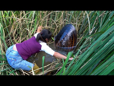 Old river clams have been hidden in reeds for decades let s