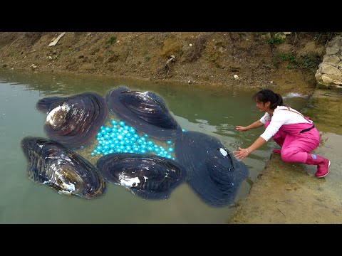 The clams gather here to spit out pearls it s really amazing