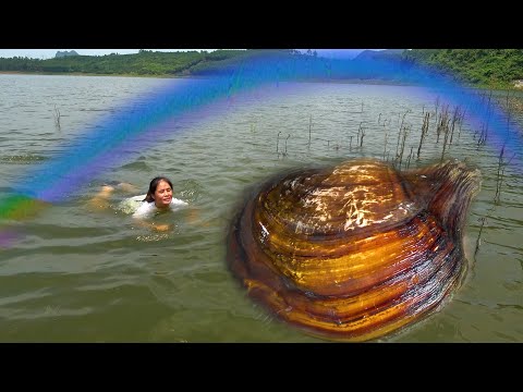 Found a beautiful lake with pearl clams lining up one by one