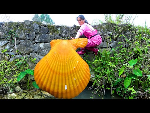 This pearl clam is a rare species and the beautiful woman