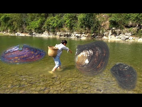 The pearl clams here are particularly large and have many