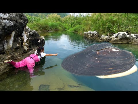 The river clams in the sweet spring water are different