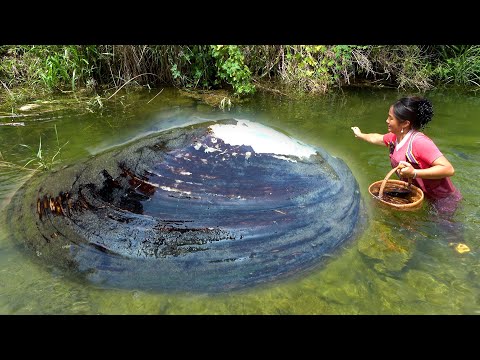 Too much effort encountering such a large pearl clam