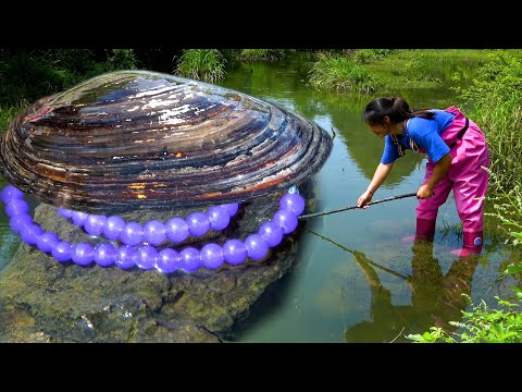 The pearls in the river clams are too pure they are really