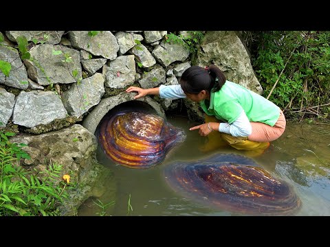 The culvert keeps flowing pearl clams and even beautiful