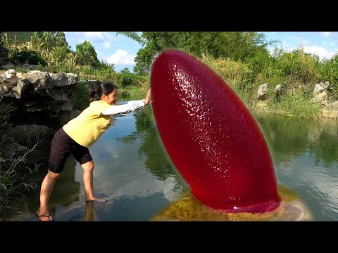 A unique treasure found in the belly of a clam with unique