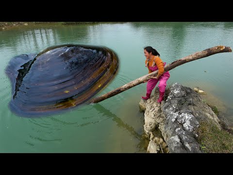 The beautiful woman carries a big tree to explore the