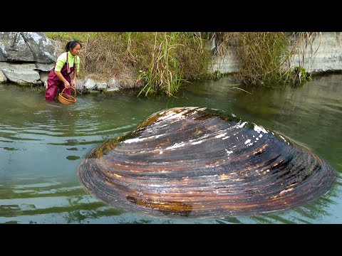 I saw the big river clam in the water I must have obtained