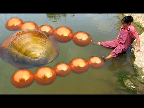 This is a rare river clam with beautiful pearls