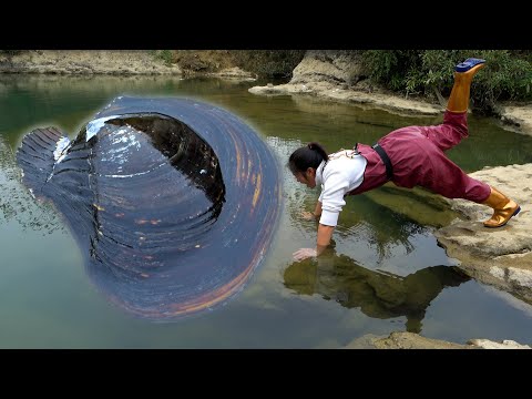 I found a big river clam at the bottom of the river and I