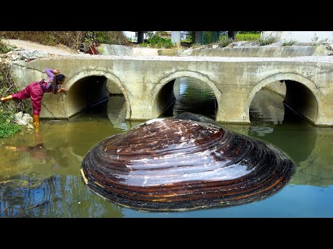 The big river clam flows out of the bridge cave and there
