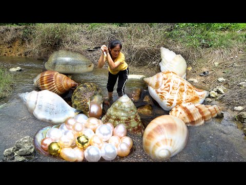 Various pearl oysters gather here and now we will start the