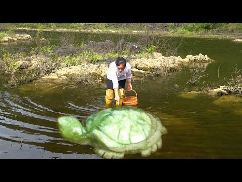 I found a jade turtle in the water and the village girl was