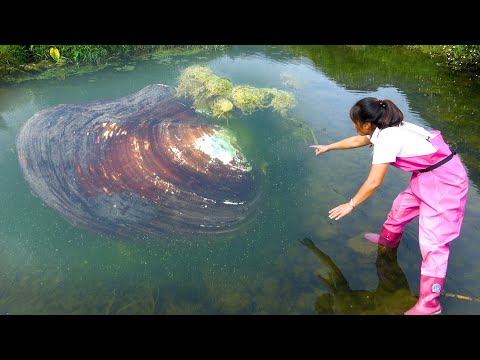 A beautiful woman discovered a river clam with a large