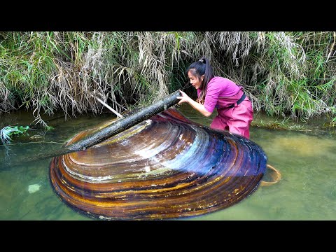 Let s get off to a good start We found the big pearl clam