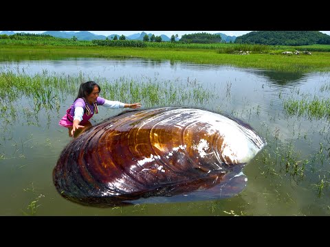 The big river clam is exposed in the reservoir and the