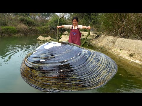 Guess how many pearls are in the clam What a huge pearl clam