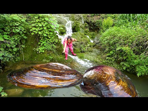 This big river clam must have been washed down by the flood