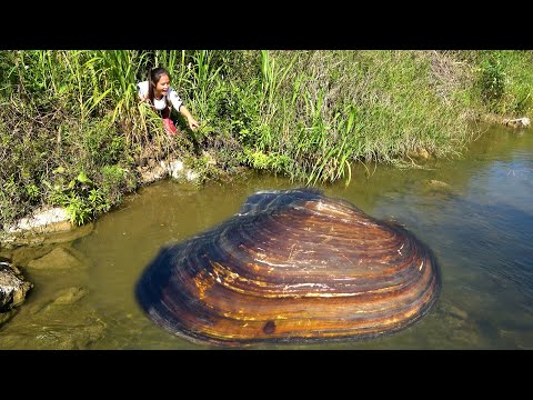The beautiful woman quietly approached the clam with many