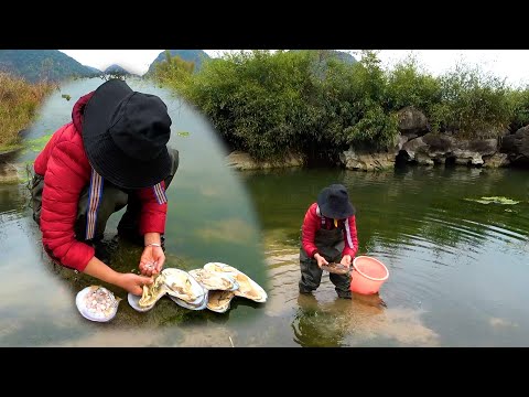 Picking up pearl mussels in the small river with green