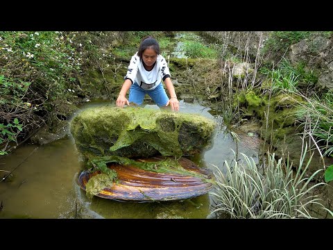 I found a big river clam under the stone and when I got it