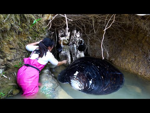 Beauty looking for clams to support three younger brothers