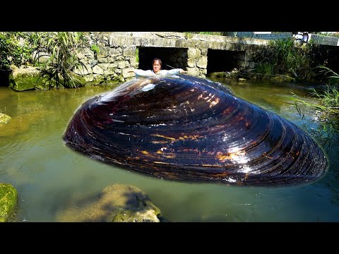 I found a plump river clam with abundant pearls in its belly
