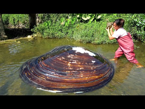The clam is trapped in the water pond and we can still dig