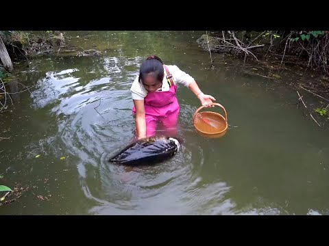 Many pearl clams are hidden here and you can immediately