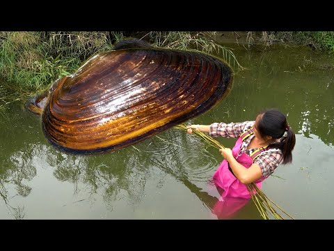 The clam was lifted out of the water and immediately saw a