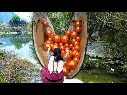 I found the river clam with the most pearls and the pearls
