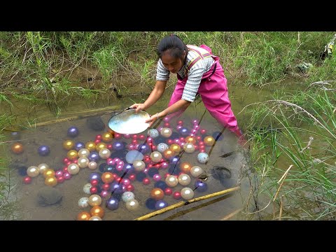The pearls in the clams sprinkle all over the river