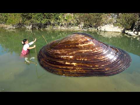 The clam is so big that you never expected it Have you ever