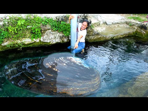 Quan saw a big river clam in his eyes and the beautiful
