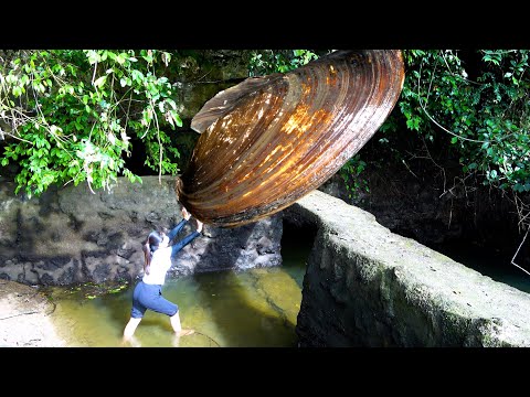The river clam has just emerged from the underground spring
