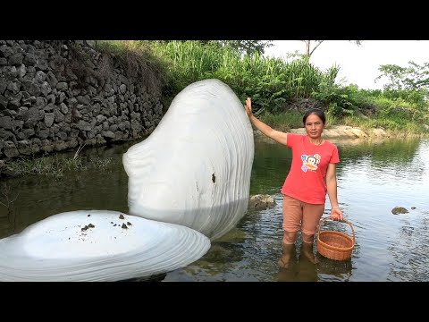 Its appearance is unique and the pearls in its belly are