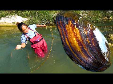 This is the King of Clams let s see its beautiful pearls