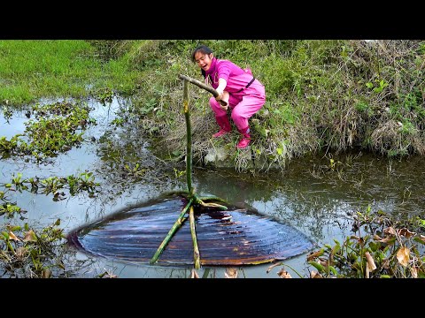 I m so excited to find a big river clam in the small pond