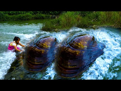The pearl clams on the riverbank are too big to be washed