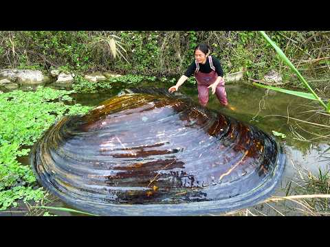 Go into the water to find the big river clam and another