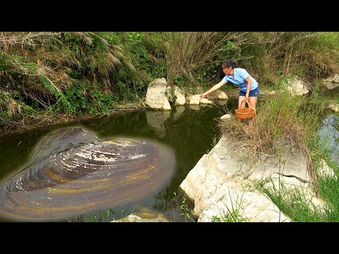 Big Macs appear in the Black Pond and the beautiful woman