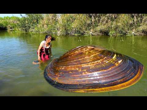 This is a standard river clam with pearls that are
