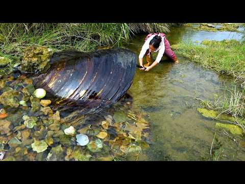 The river clams hidden in the sand have matured and their