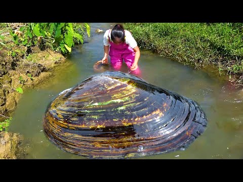 I didn t expect there to be big river clams in the water