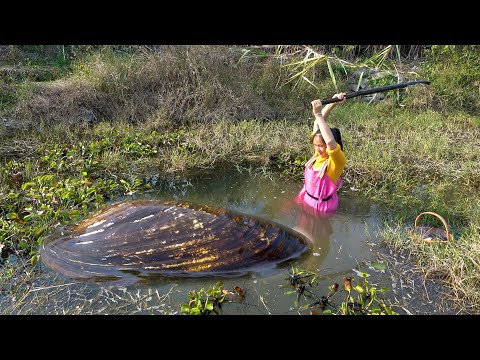 The big river clam has appeared and countless beautiful