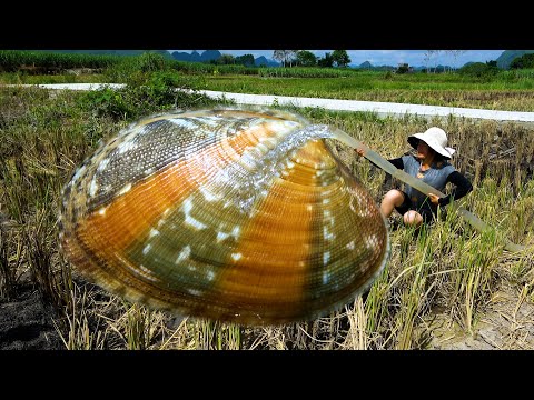 Beautiful woman accidentally encounters magical pearl clam