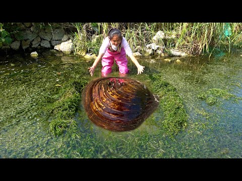 There is such a large pearl clam under the swamp and there