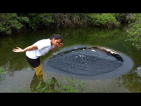 When I heard the sound of pearls inside the clam I opened